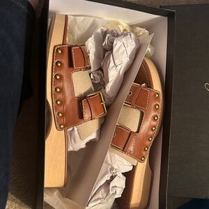 J. Crew Tan Sandals with Gold Buckles